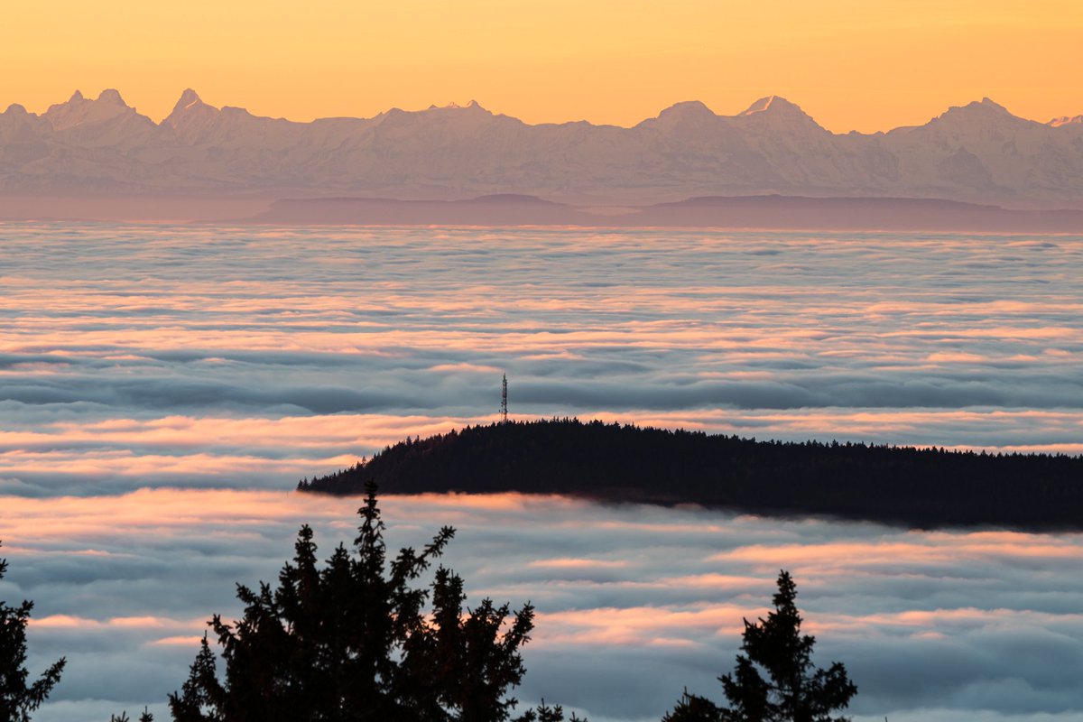 Cédrιc tweet media