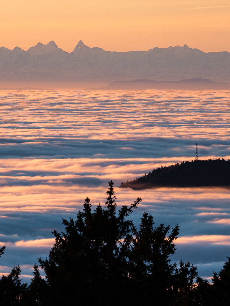 Cédrιc tweet media