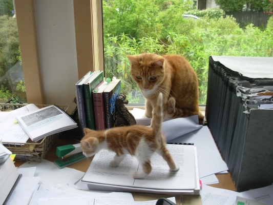 My favorite kind of baby pics involves a #babycat! Here's my hilarious Hector as a little one with his dad Hamish #ilovemypets #furbaby