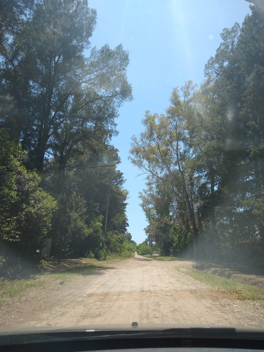 Peguinho_Karina's tweet photo. ★Las desventajas del finde XL...
Ruta 2 colapsada 🤬. 
#OtroCamino #OtraRuta 
🌳🌳🌳🌳🌳💚 https://t.co/YVbP9qdVva
