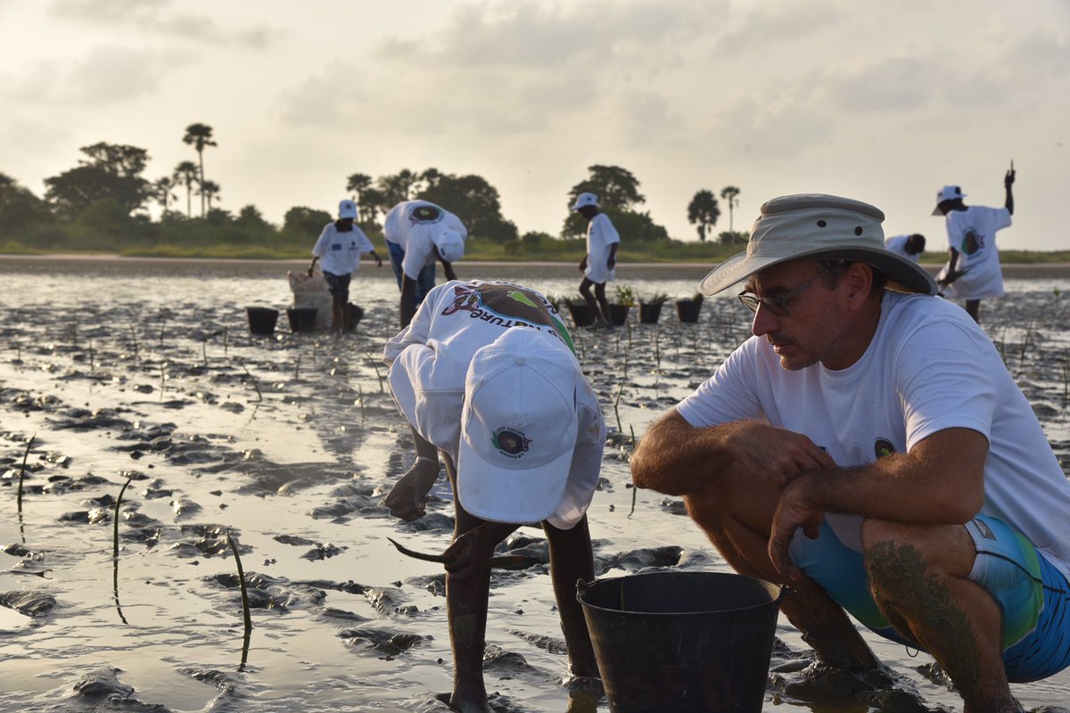 #JourneeMondialedelEnfance 
Nebeday et @UEauSenegal🇪🇺, misent sur les enfants pour une action climatique🌱efficace.💪🏿
Revivez la journée d’éducation environnementale🎋avec les enfants🌞de Palmarin👉🏾 bit.ly/2YMzSRB @IMingassonUE 
#Nebeday #EUClimateAction
#GIZC_UE #Kebetu