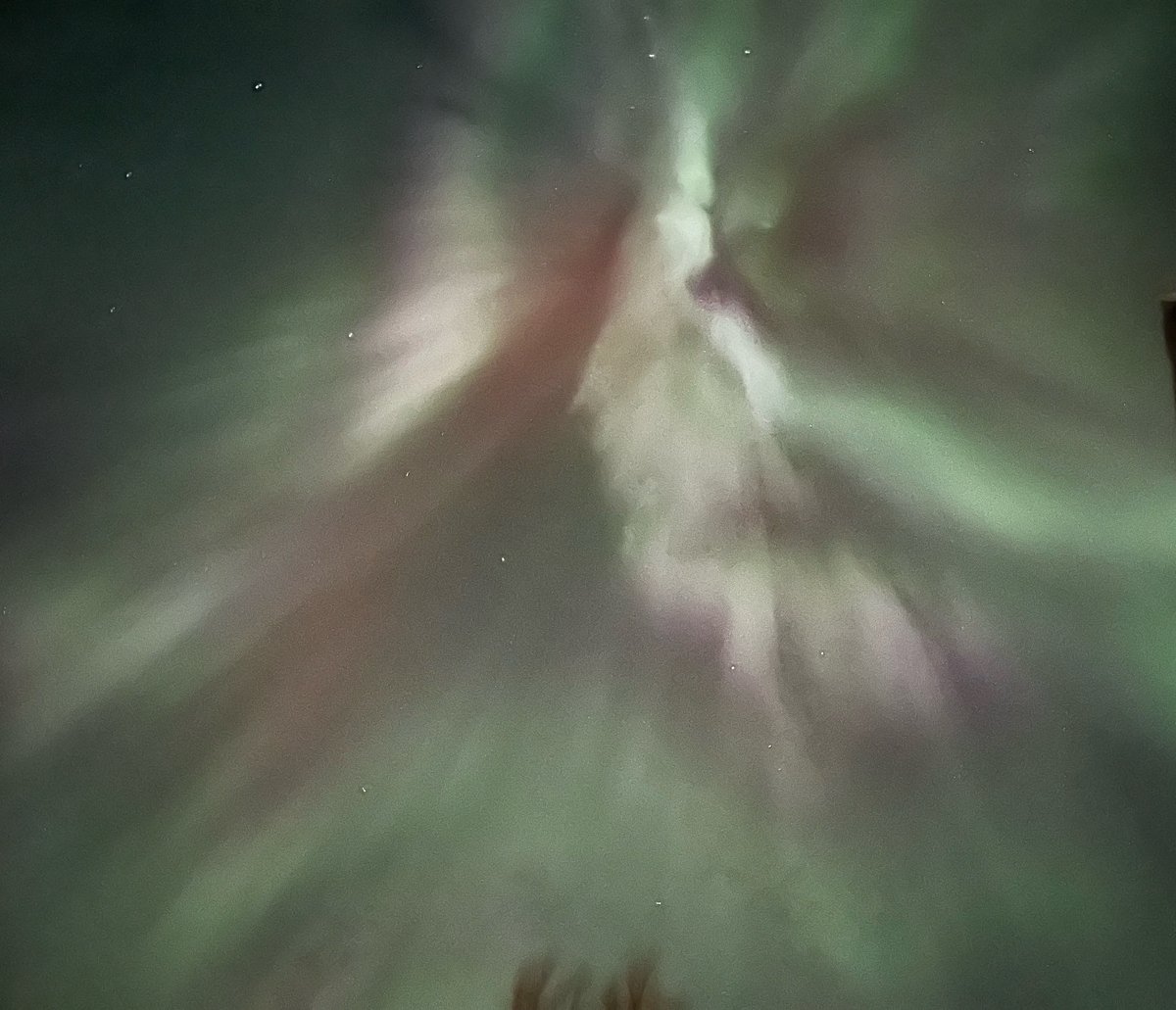 From a recent trip to Fairbanks Alaska