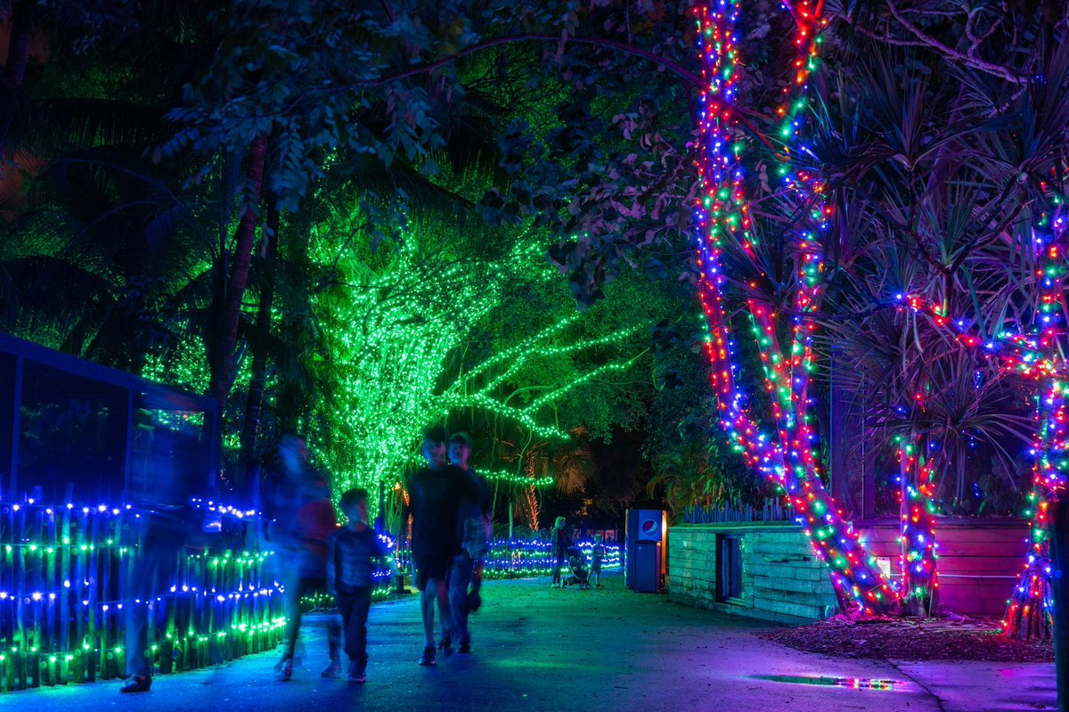 Scenes from last night's lights!

Purchase your tickets today on our website ---> #linkinbio #zoolights #holidaylights #photoswithsanta #westpalmbeach #lovefl #thepalmbeaches

Zoo Lights is sponsored by our friends and partners at Florida Power & Light FPL SolarNow @insideFPL.