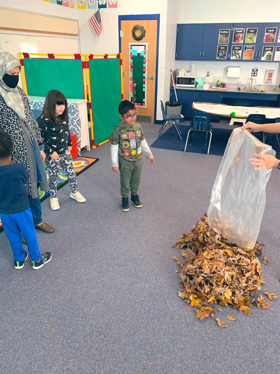 Mrs_Cudd's tweet photo. We had a fun fall day. We went outside, collected leaves, brought them inside, raked them into a pile, and OF COURSE jumped in! 🍁 https://t.co/E4JWKVdtHF