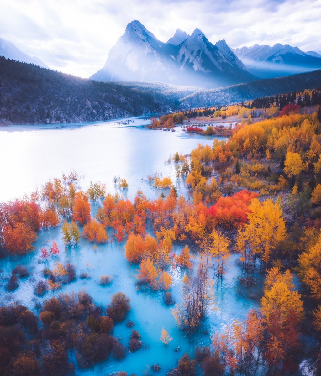 jennadixonphoto's tweet photo. Gm

Reminiscing on fall 🧡 https://t.co/krHHbnF66I