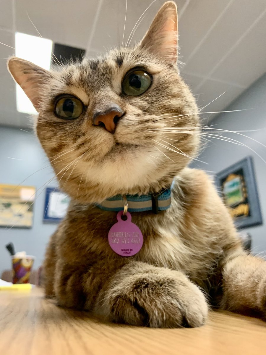 Mikey McBryan tweet media