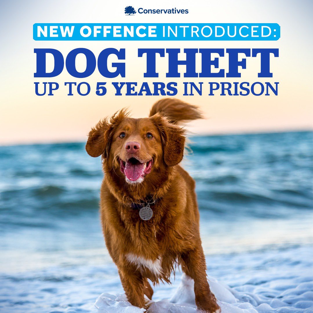 It took 4 years for the evidence-based #PetTheftReform campaign to be adopted by the government. Dog theft was the focus of academic research & policy documents. This will be widened. Sentencing (& recognising pets as more than property) is a positive start. We continue 🐾 RT