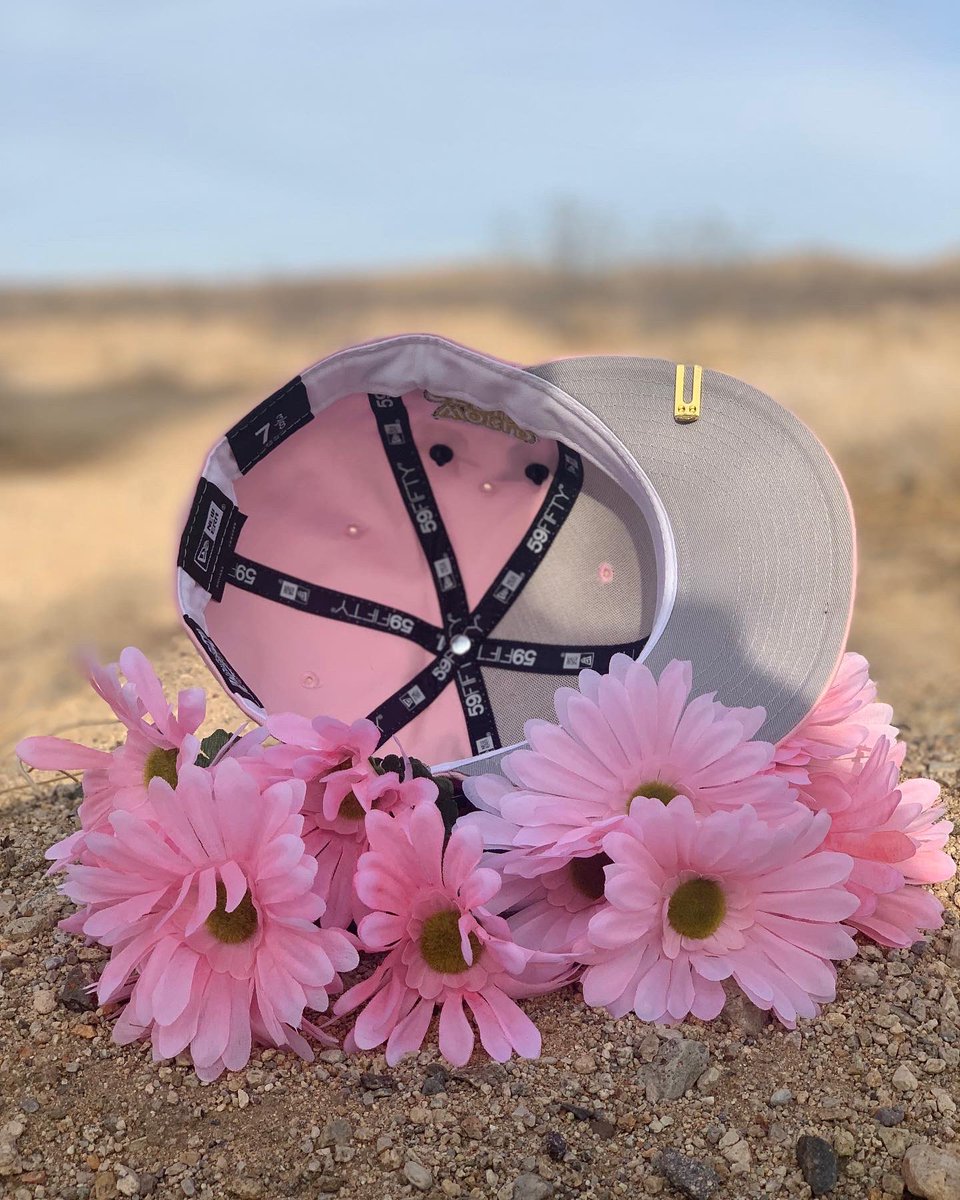 Catoishere's tweet photo. A pink daisy I found at the desert! πΈ π π§’ #exclusivefitted π from #stopncap @bluefitteds #mjbhpr @ejr805 @RahnniFitteds https://t.co/hXorEqBEEH