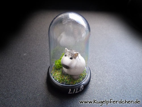 Pferdenase's tweet photo. Mini-Kugelpferdchen in kleiner Kuppel... ist es nicht putzig? 😍

Dein Tier nach Foto als original Kugelpferdchen® - Miniatur? https://t.co/1KrhShvJaN

#pferde #pferd #geschenk  #andenken #hund #katze #katzen #hunde #geschenkidee #geburtstag #weihnachten #xmas #geschenkideen https://t.co/B63Zsz9w5k