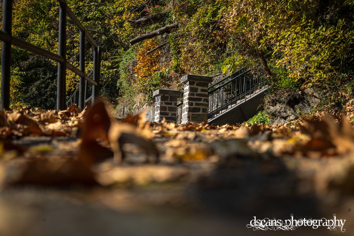 Love the sound of crunching leaves beneath my feet . <a href="/6abc/">Action News on 6abc</a> <a href="/CecilyTynan/">Cecily Tynan</a> <a href="/6abcadamjoseph/">Adam Joseph</a> <a href="/NBCPhiladelphia/">NBC10 Philadelphia</a>  <a href="/FOX29philly/">FOX 29</a> <a href="/myphillypark/">Fairmount Park Conservancy</a> #fall #leaves #autumn #fairmountpark #Philly  #NaturePhotography  #nature