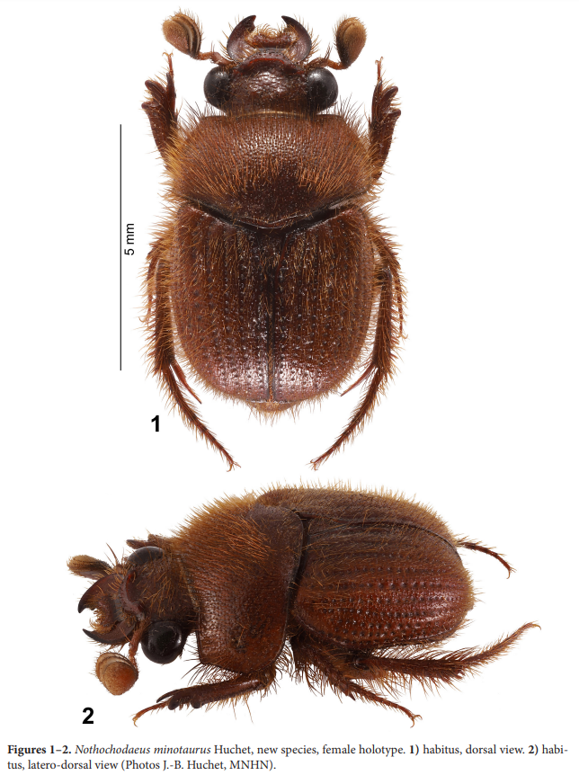 Florida State Collection of Arthropods tweet media