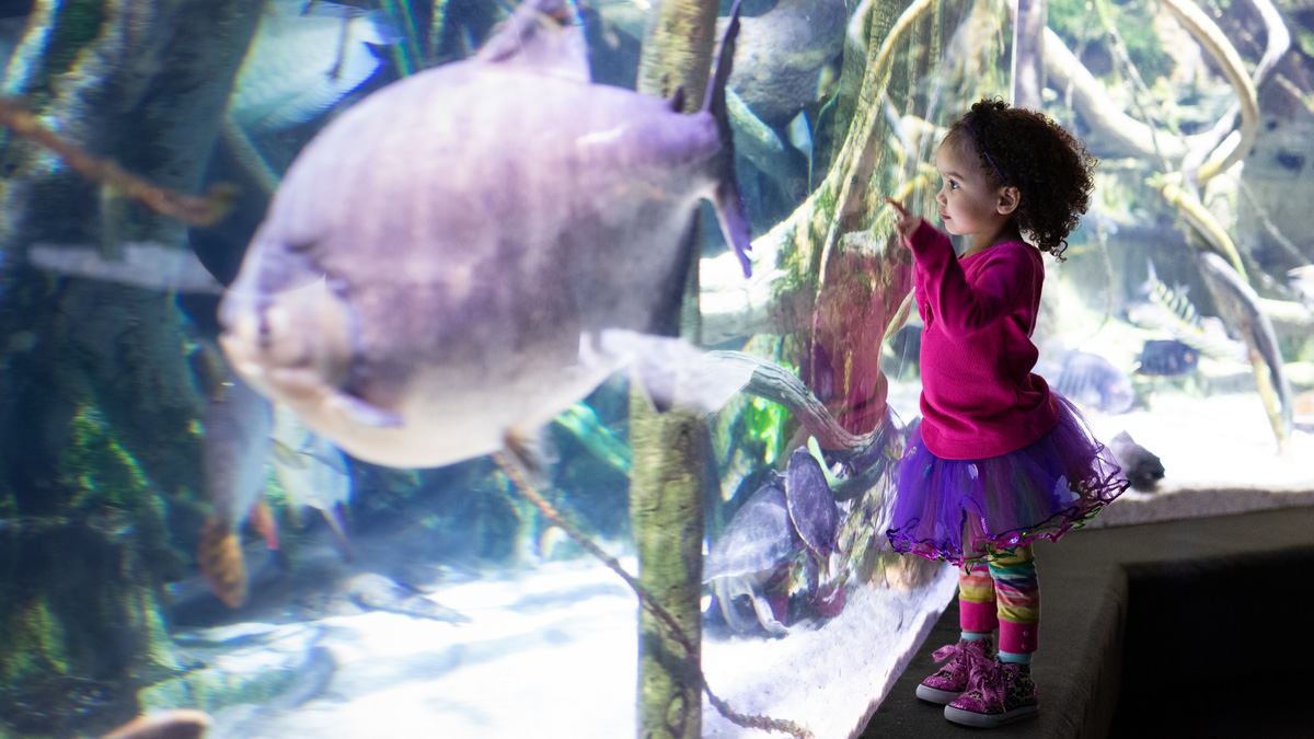 National Aquarium tweet media