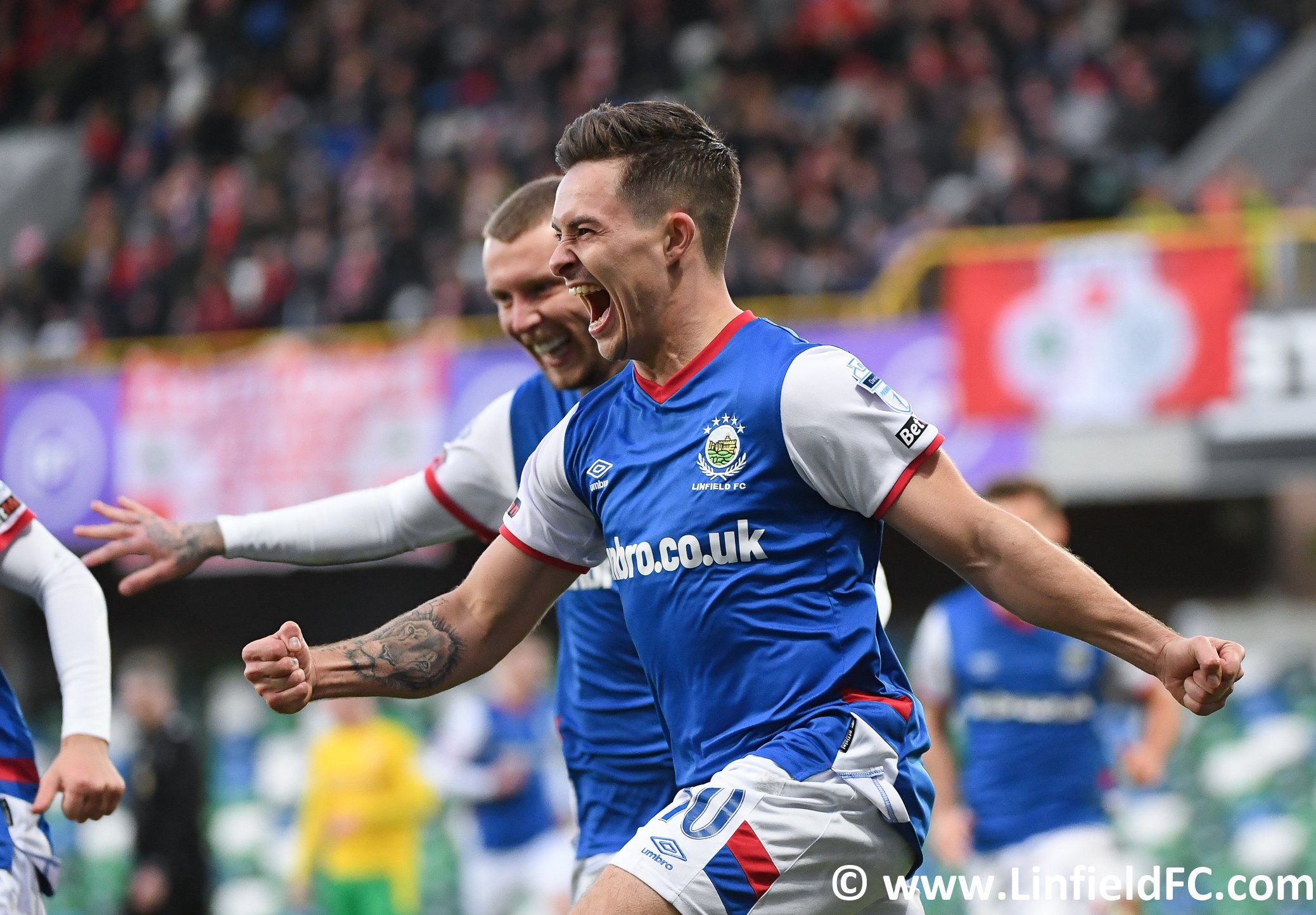 Linfield fc twitter hotsell
