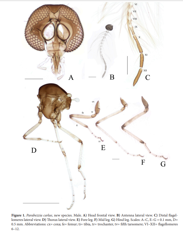 Florida State Collection of Arthropods tweet media