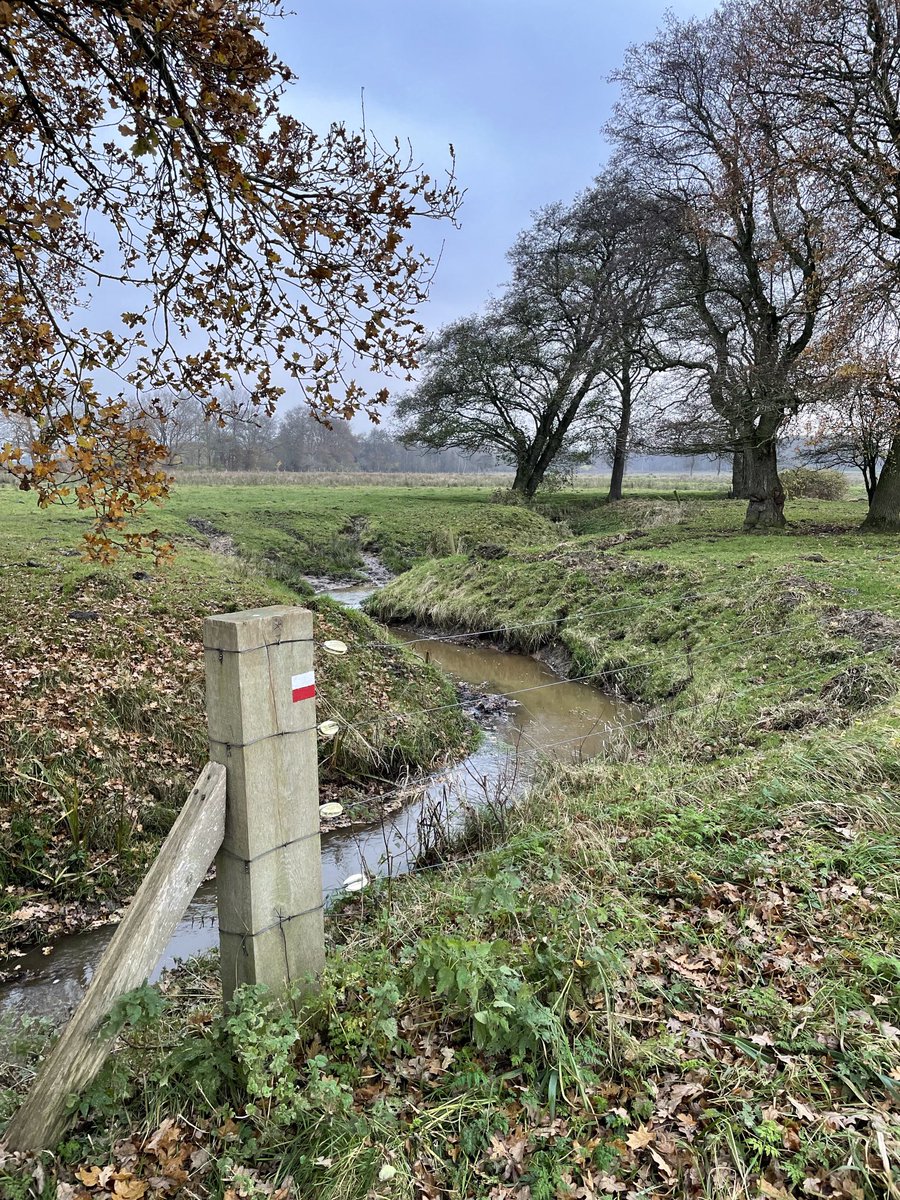 KemperAlferink's tweet photo. Etappe 5 van het #Pieterpad vandaag. Gestart bij het overbekende hunebed D18 in #Rolde, via het Andersche Diep, Boswachterij #Gieten, de markesteen tussen de marken #Drouwen en #Grolloo eindigend in #Schoonloo. Een verrassend gevarieerde 18 kilometer. https://t.co/ONjNBAqY40