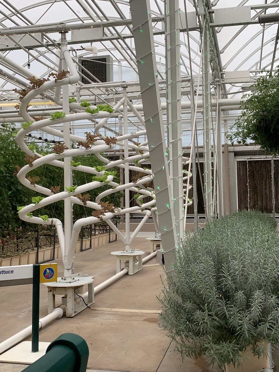 kaylyngroce's tweet photo. Spending the day at Disney’s Epcot. Loved traveling through the Living with the Land attraction seeing some of the sustainable agricultural production systems at the park! #hydroponics #agriculture #sustainable @USDA @WaltDisneyWorld https://t.co/D1vCJqCcSb