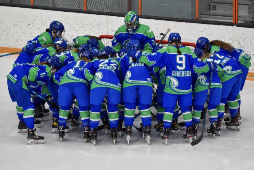 SDoyle_6's tweet photo. Time to go to work๐ณ๐ Catch the @CTWhaleHockey at 2pm on @Twitch #RollPod #FinsWayUp https://t.co/21nYghbxw5