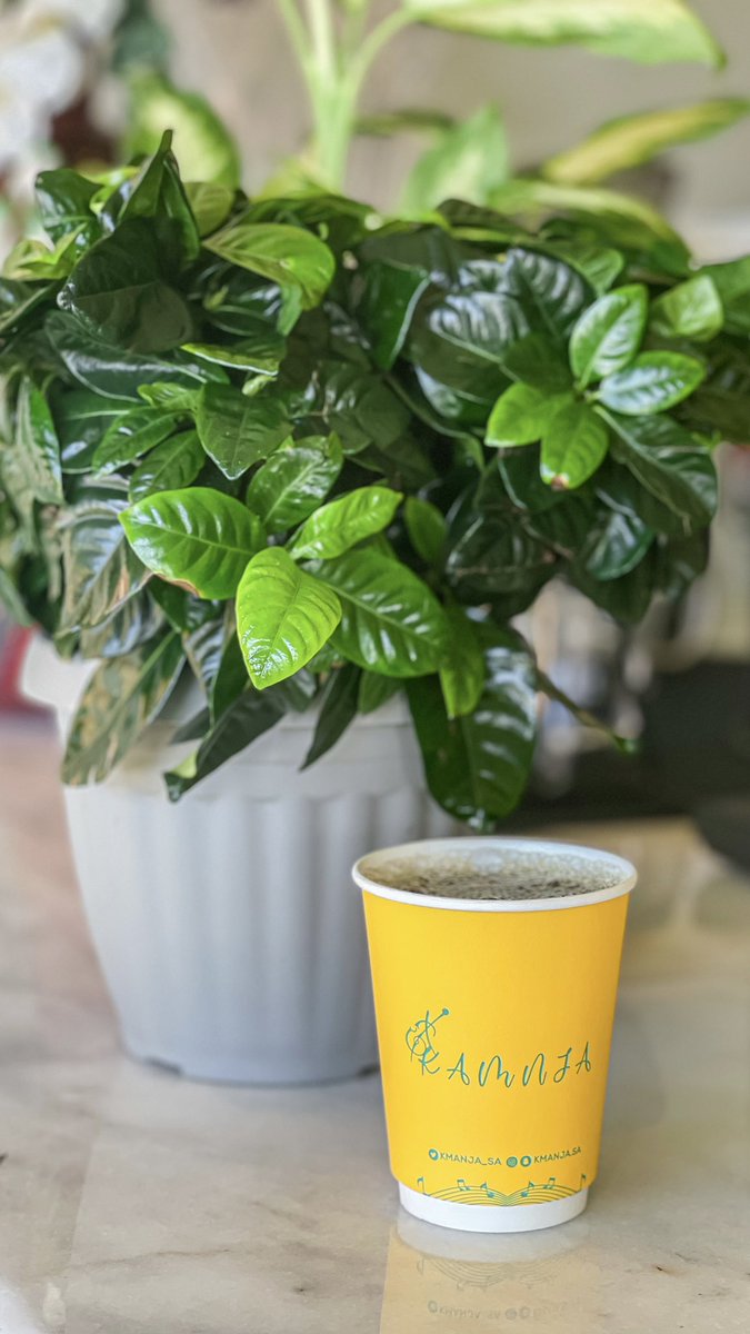 Kamanja coffee | كوفي كمنجه tweet media