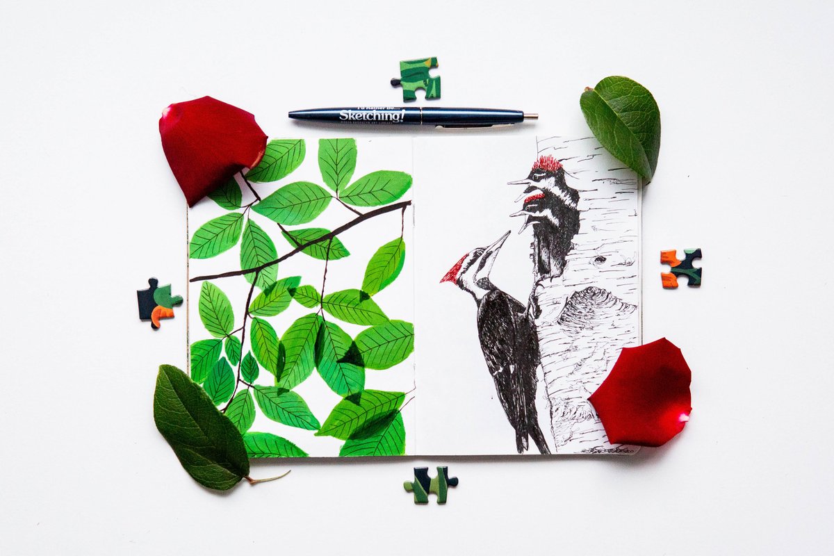 From My Treehouse by <a href="/ashley/">Dr Ashley Tan</a>.p.halsey 🐦🌿