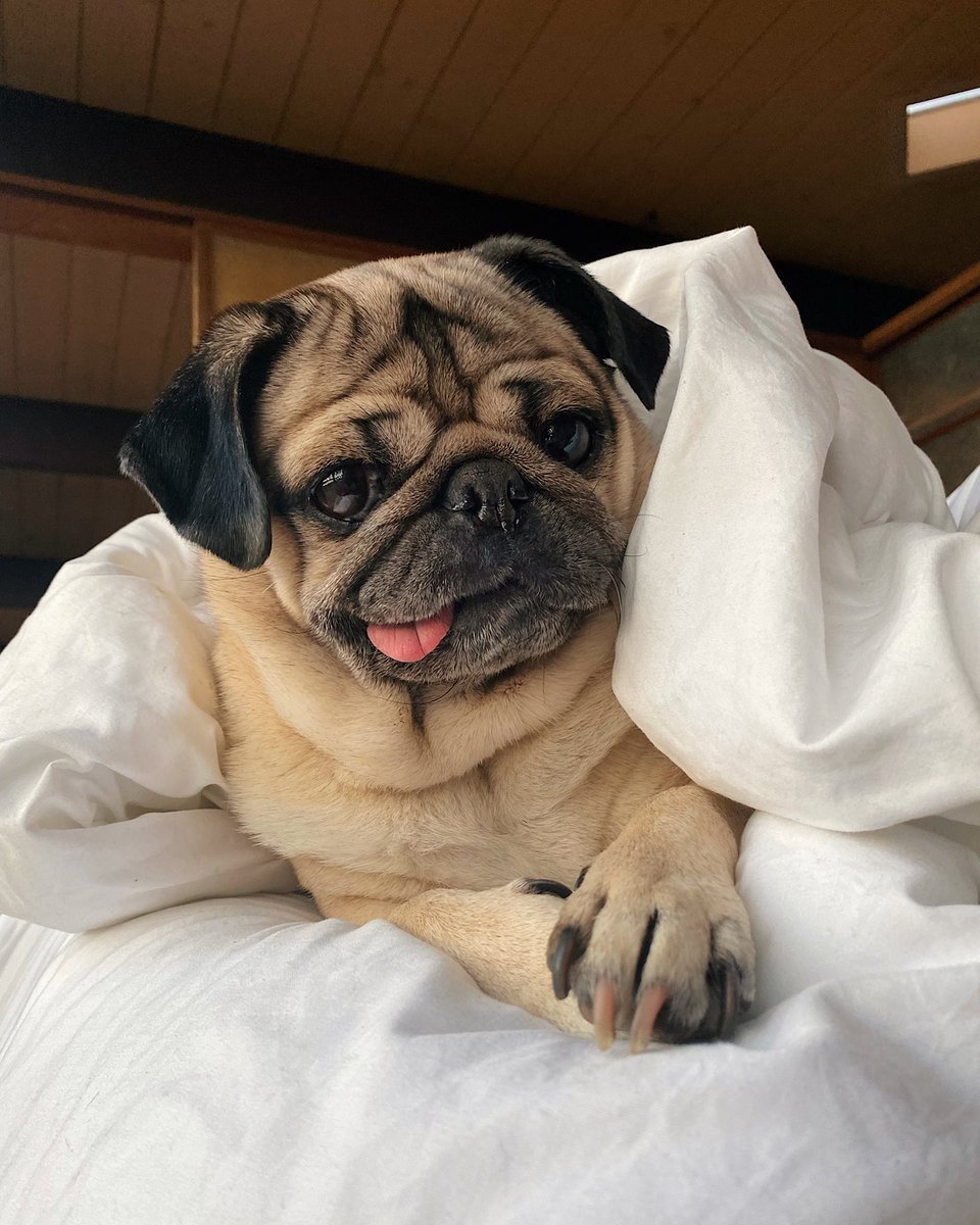 Good morning do u want to go get coffee? ☕️