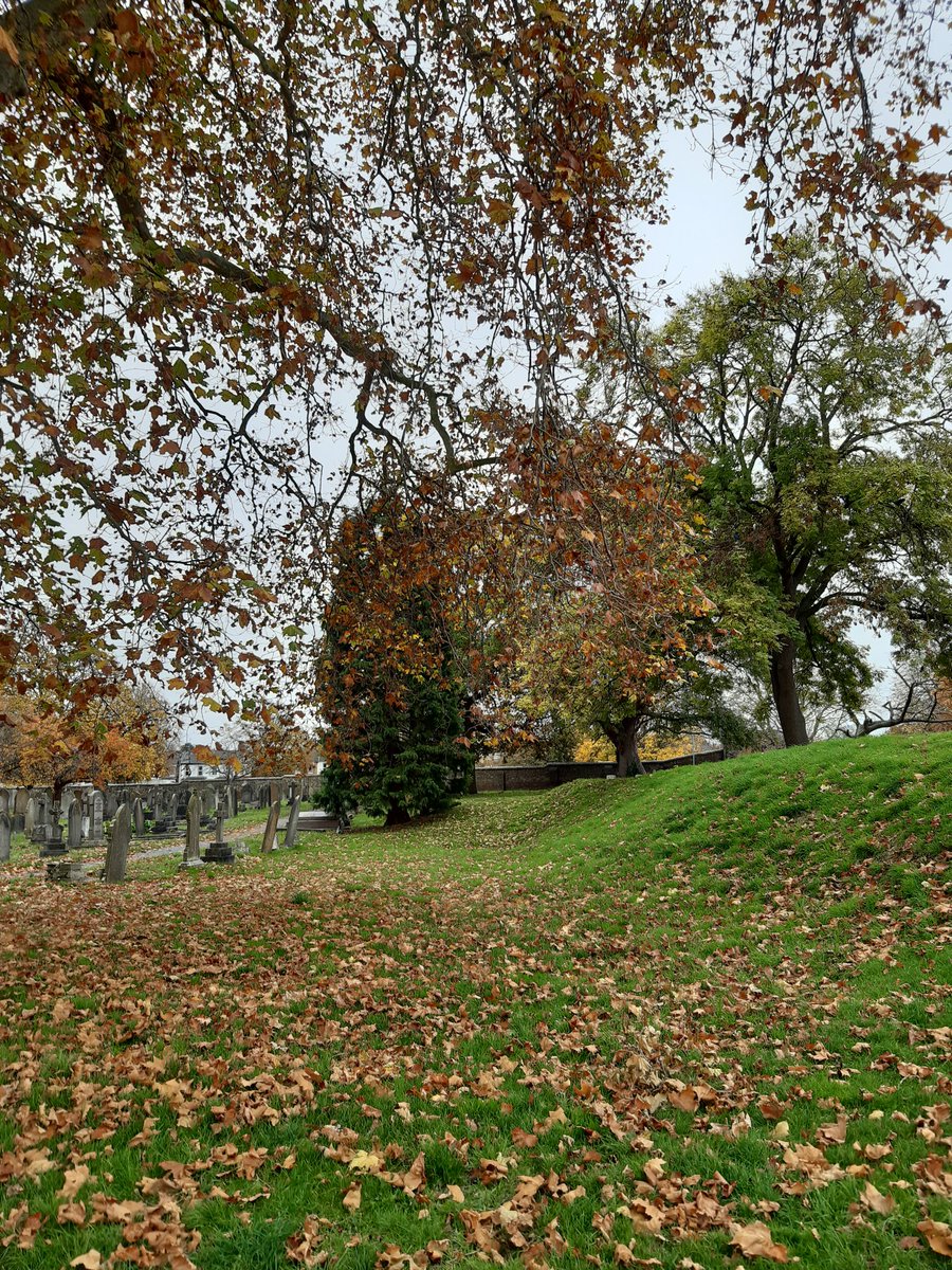 Completed my very first non-stop 5K run today whilst enjoying the beautiful autumn colours around #Gravesend! 

#GravesendCemetery #WoodlandsPark #VisitKent #VisitGravesend #AutumnColours #AutumnVibes @visit_gravesend <a href="/GravesendTCM/">Town Centre Manager for Gravesend</a> <a href="/graveshambc/">Gravesham Council</a> <a href="/VisitKent/">Visit Kent</a> <a href="/KentScenes/">Scenes from Kent</a>