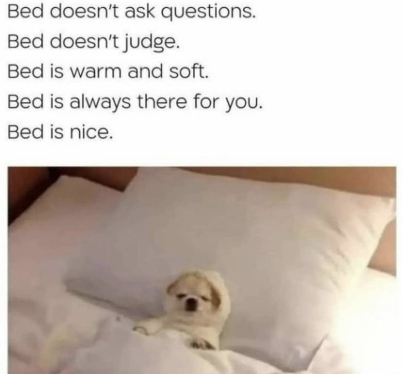 WholesomeMemes (@wholesomememe) on Twitter photo 