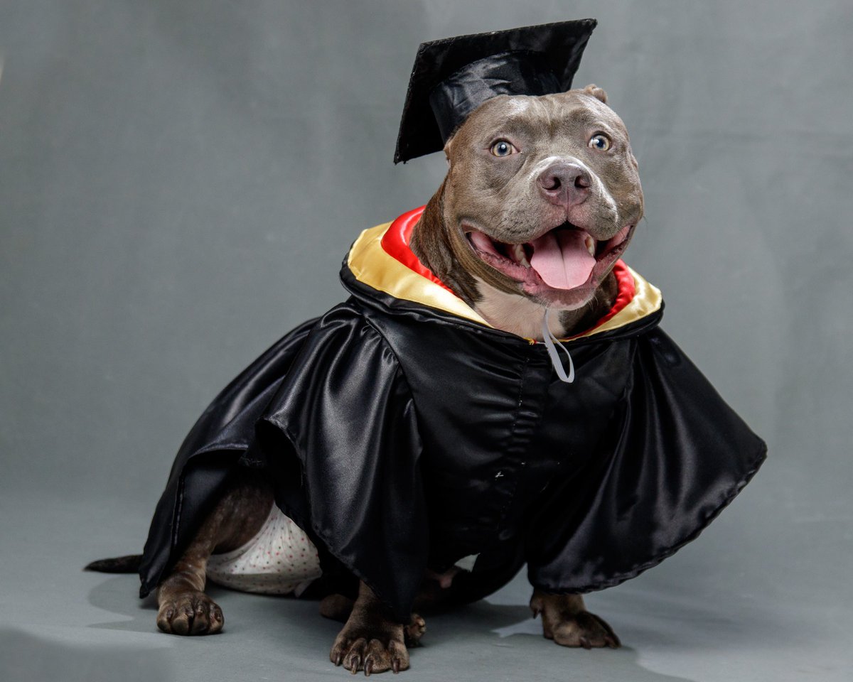 tomynirvana's tweet photo. Buti pa aso ko may grad pic na ako ilang terms pa 🥲 @MapuaUniv https://t.co/r83nFUgulN