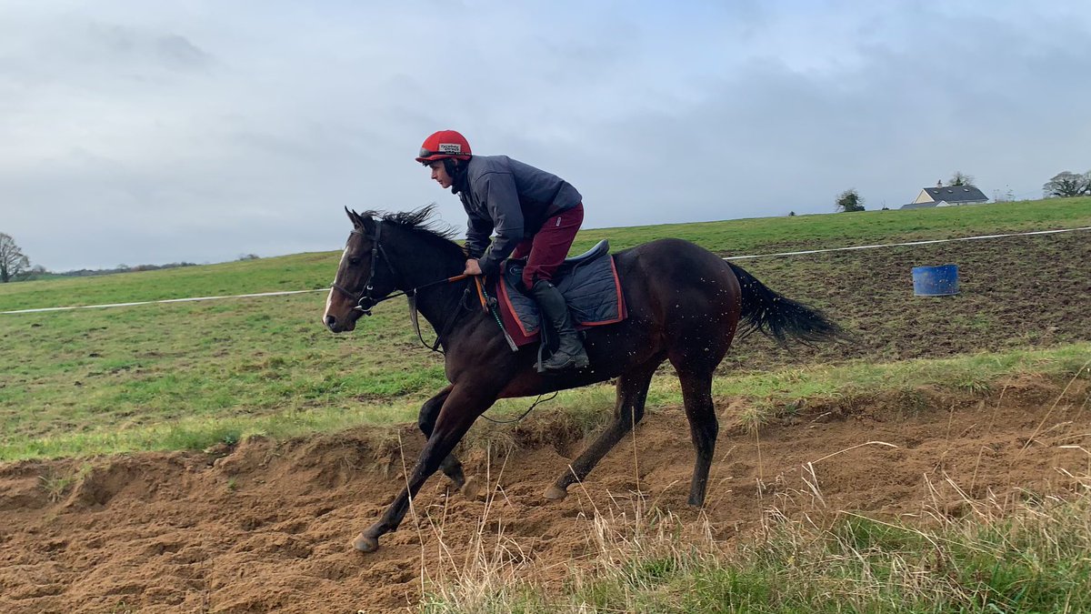 KildallanFarm's tweet photo. Some of the 2022 breezers on the gallop this morning #smoothdaddy #profitable #churchill #belardo https://t.co/4Dgkn8sNgG