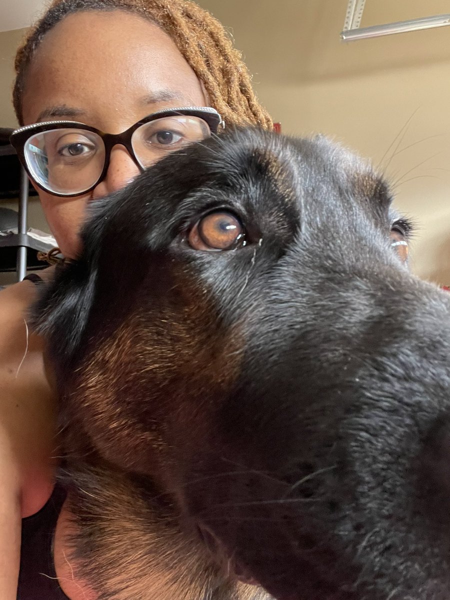 YarnDyson's tweet photo. Trying to finish up my workout on the mat but this guy wants to play!! ๐๐ ๐ถ๐ #OurBoy #Ntwa #WestGermanSheperd https://t.co/jHv2ra5WIa