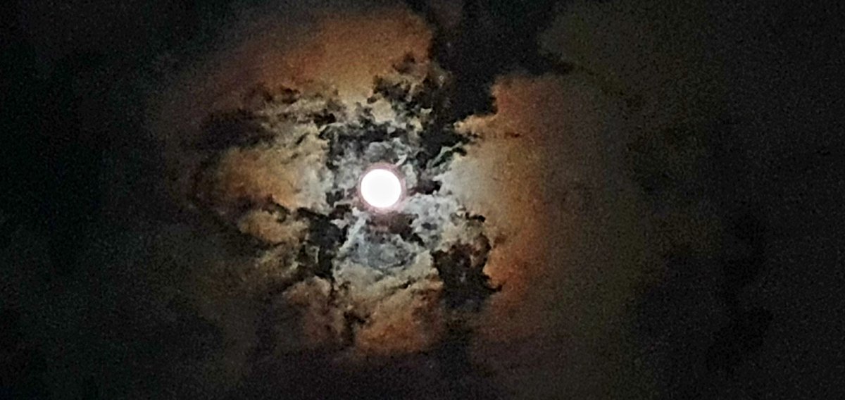 Sanjay Goyal IAS tweet media