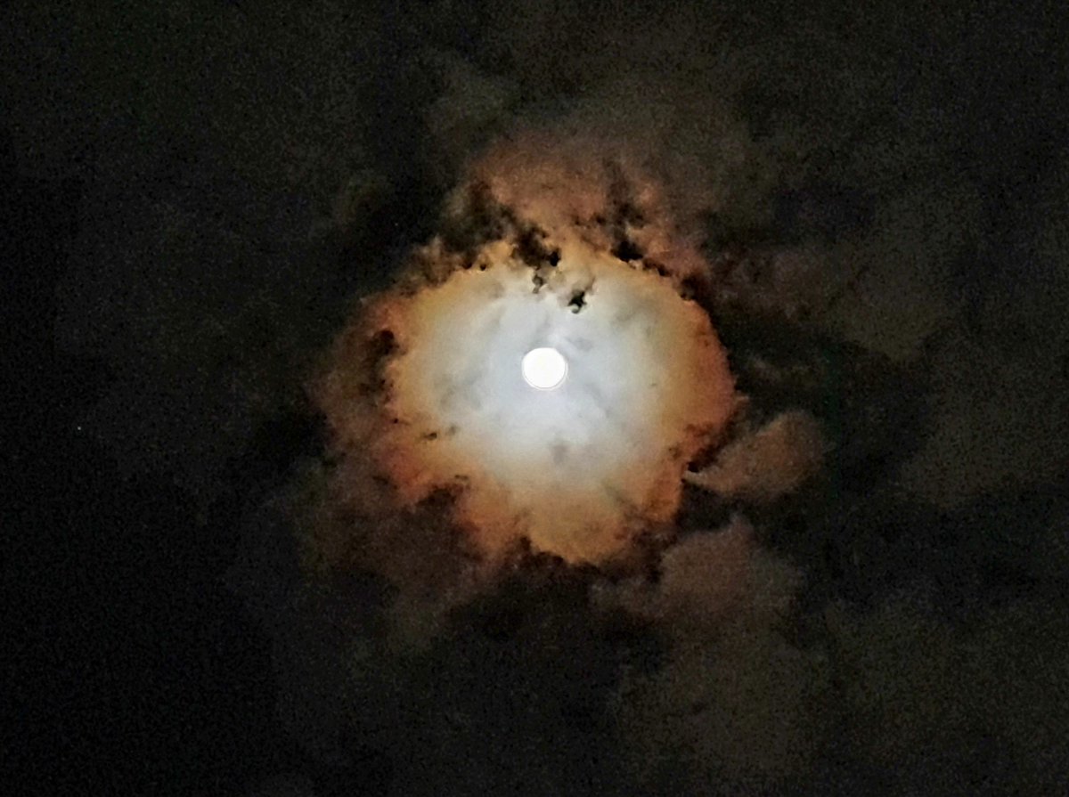 Sanjay Goyal IAS tweet media