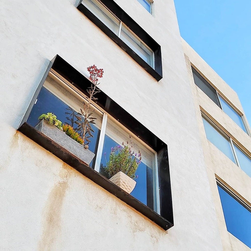 pasionmovil's tweet photo. El modo #hdr del #honor50 de @honor_mexico no es lo máximo pero sus resultados son bastante notorios

#shotonhonor #honormx #honormexico #honorglobal #honor #honormobile #poderpda #pasionmovil #windows #ventana #arquitectura #naturelovers #naturaleza #hd… https://t.co/xTJWNkfu7M https://t.co/a1FI6QU93E
