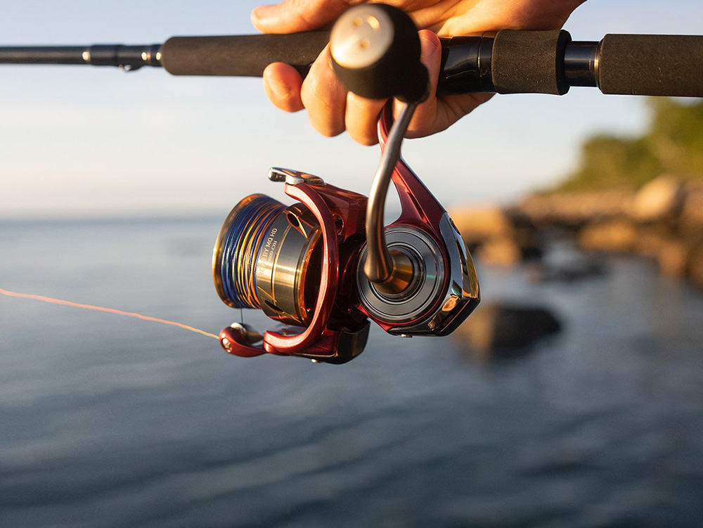 dailyfishing's tweet photo. Daiwa Revelry: привет от антиподов

https://t.co/w0TQbH4iNk https://t.co/HAwORyXAxN
