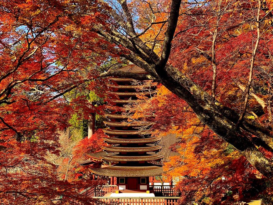 談山神社の紅葉22見頃の時期や渋滞 混雑は アクセスや駐車場も解説 ココミミ情報局 花の見頃 イベント情報
