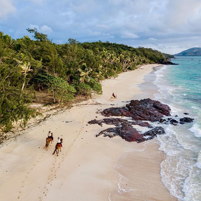 TourismFiji's tweet photo. Tame, friendly and part of the @TurtleFiji family, these horses are ready and waiting to make your visit to Fiji something truly unique.
Arrive by sea-plane, adventure on horseback.
📷 @turtlefiji
📍 Yasawa Islands, Fiji
#Fiji #FijisOpen #TravelFromDecember #YasawaIslands https://t.co/GZCLKbOMbi