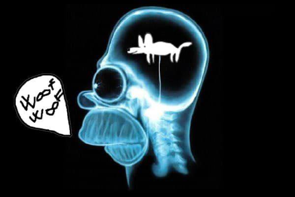 Ansegaa's tweet photo. @lun3thereal @cryptokakarot1 #dogggo nunca traiciona al dueño que sabe esperar! https://t.co/utqbKCtd95