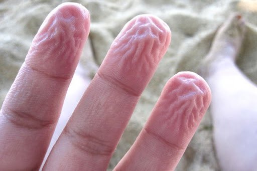 gersonsux's tweet photo. @milkinhisbag @DrewtreeDrums I just KNOW the fingertips going crazy underneath https://t.co/J4hOJ0GGTw