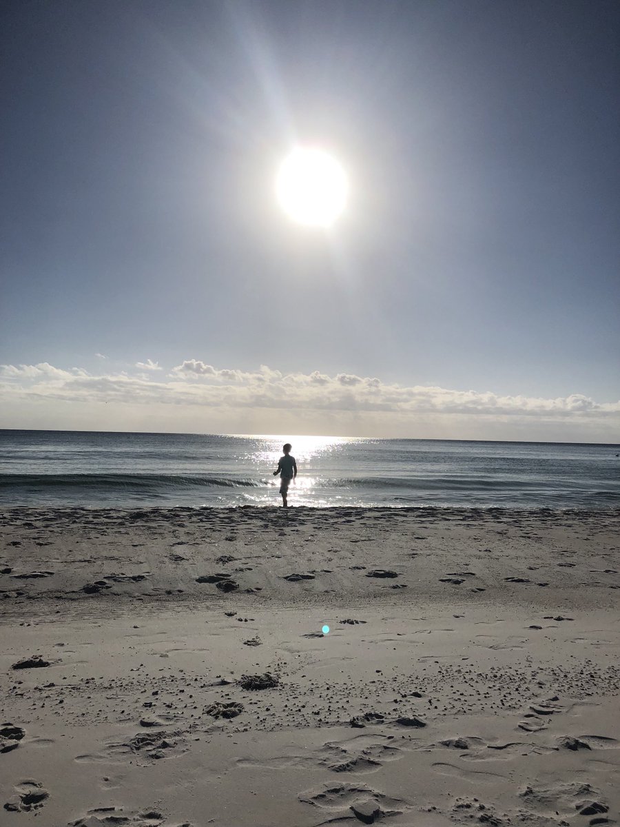 JenniferHoane's tweet photo. …yep #helloFL !☀️🌴 https://t.co/0q4cZ9i91s