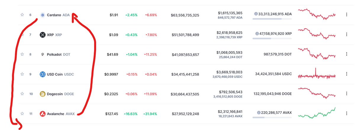 few. looks rare. programmed. diamond hands. pubes. buy the dip. gm.