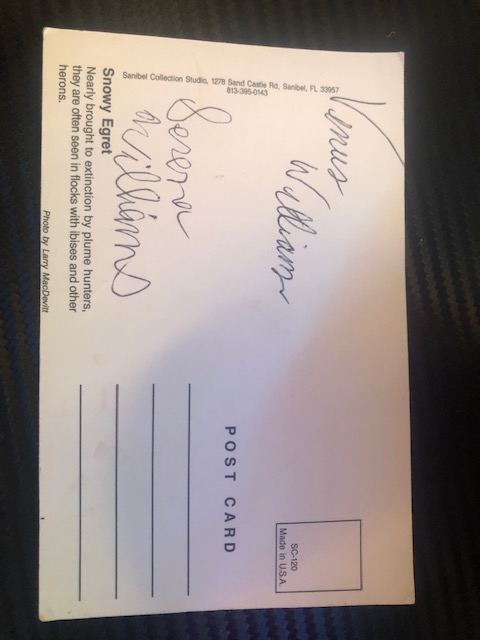 PigF_ckinDeal's tweet photo. @Venuseswilliams @serenawilliams Curious if you remember the first time someone asked for your autograph at Grenelefe tennis courts 1990. Hitting on clay. Richard: "They will be famous someday". Our family sat and watched you. All we had was this postcard! Ringing any bells? 🎾 https://t.co/8Ory9QbNza