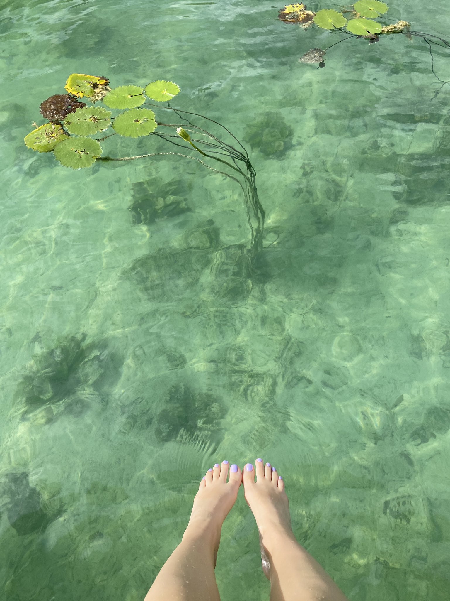 TW Pornstars - 2 pic. Molly Pills. Twitter. I am so happy 🥲. 10:32 PM