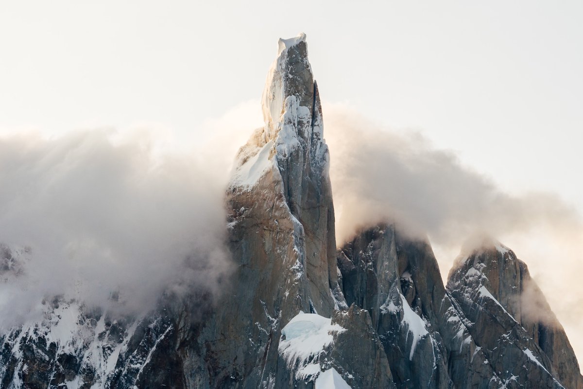 Kam Vachon tweet media