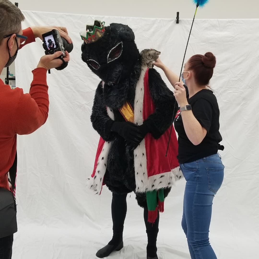 CanyonConcert's tweet photo. Behind the scenes from our Muttcracker 2021 photoshoot with adoptable dogs and cats from #AnimalFriendsAlliance!

#Muttcracker #TheNutcracker #Nutcracker #CCBNutcracker2021 #Dance #Ballet #ColoradoBallet #ColoradoDance #BehindTheScenes #FortCollins #BTS https://t.co/ADBXD4CBZU