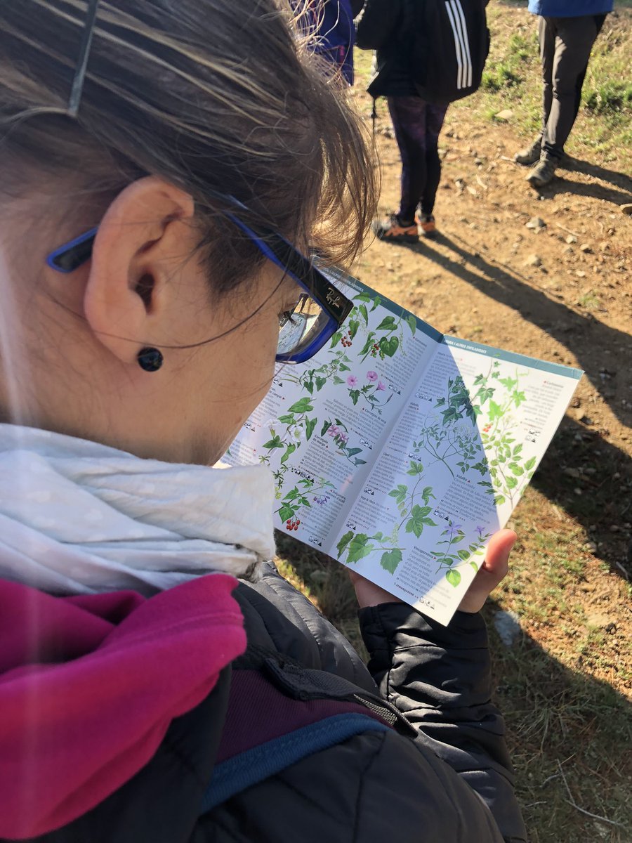 sealtemporda's tweet photo. Tanquem #1torn #25hPFZ #dissabtesDocents
#XarxaEscoles #PNCapdeCreus #som50 Avui:flora i fauna (II) #PuntaFalconera rastres de geneta, estepa,llegendes, bunquers, fongs, plantes invasores #Taller5de5 @parcscat @educaciocat
@emporda_info
@cesirecat @JosepGCambray https://t.co/qRPIPsbbYL