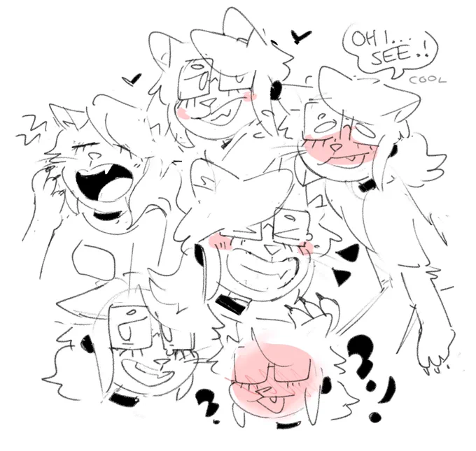 handful of girlcat expressions! 