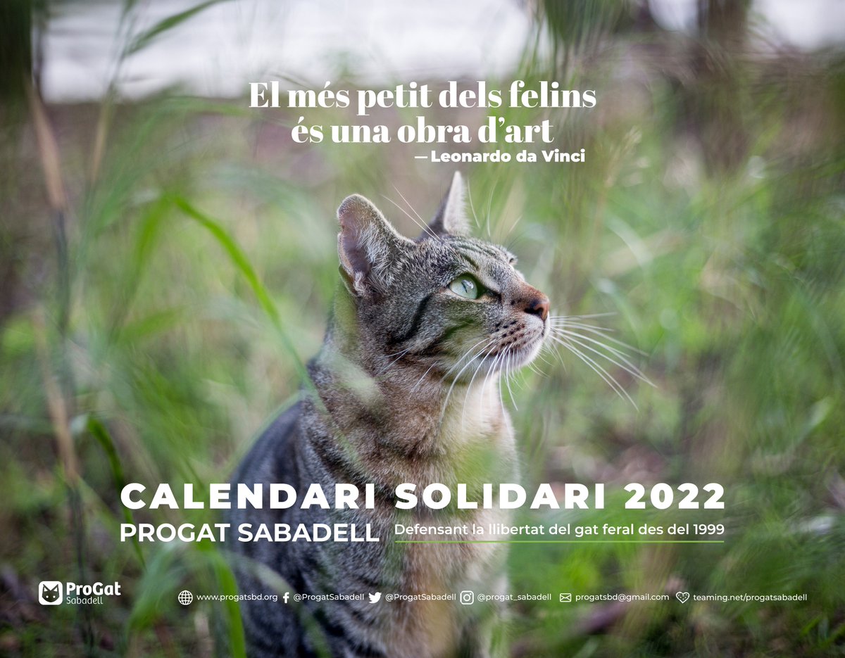 ProgatSabadell's tweet photo. 🗓 Canvia de mes amb els nostres #veïnsfelins aconseguint el calendari solidari del #2022 a diferents establiments de #Sabadell 
🗓 Cambia de mes con nuestros #vecinosfelinos consiguiendo el calendario solidario de 2022 en diferentes establecimientos de Sabadell 
#progatsabadell https://t.co/0JhnlCxO4v