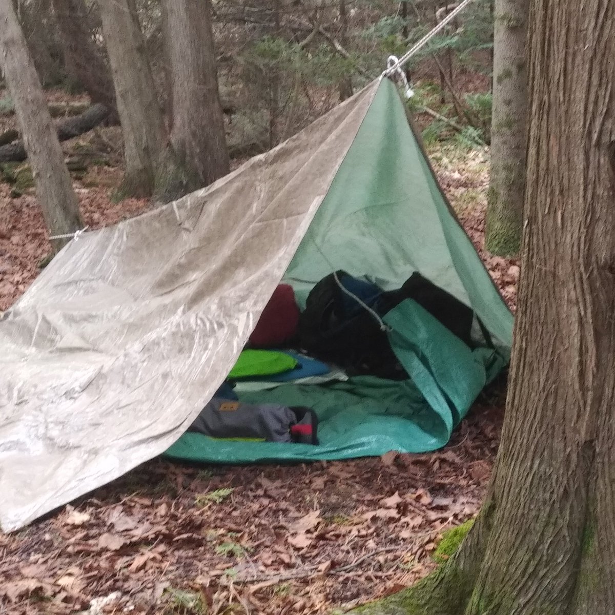 ScouterAndy's tweet image. #ScoutsCanada annual meeting today... what better place to join in from than fall Troop/Company camp.