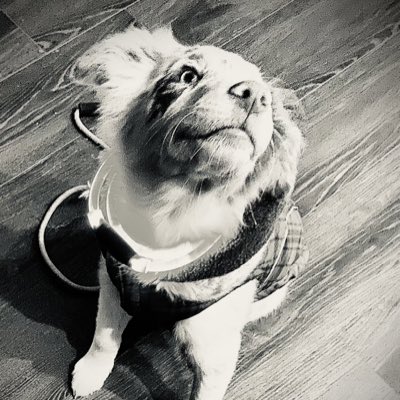 luppy8's tweet photo. #NewProfilePic https://t.co/MTWv1Jr3YG