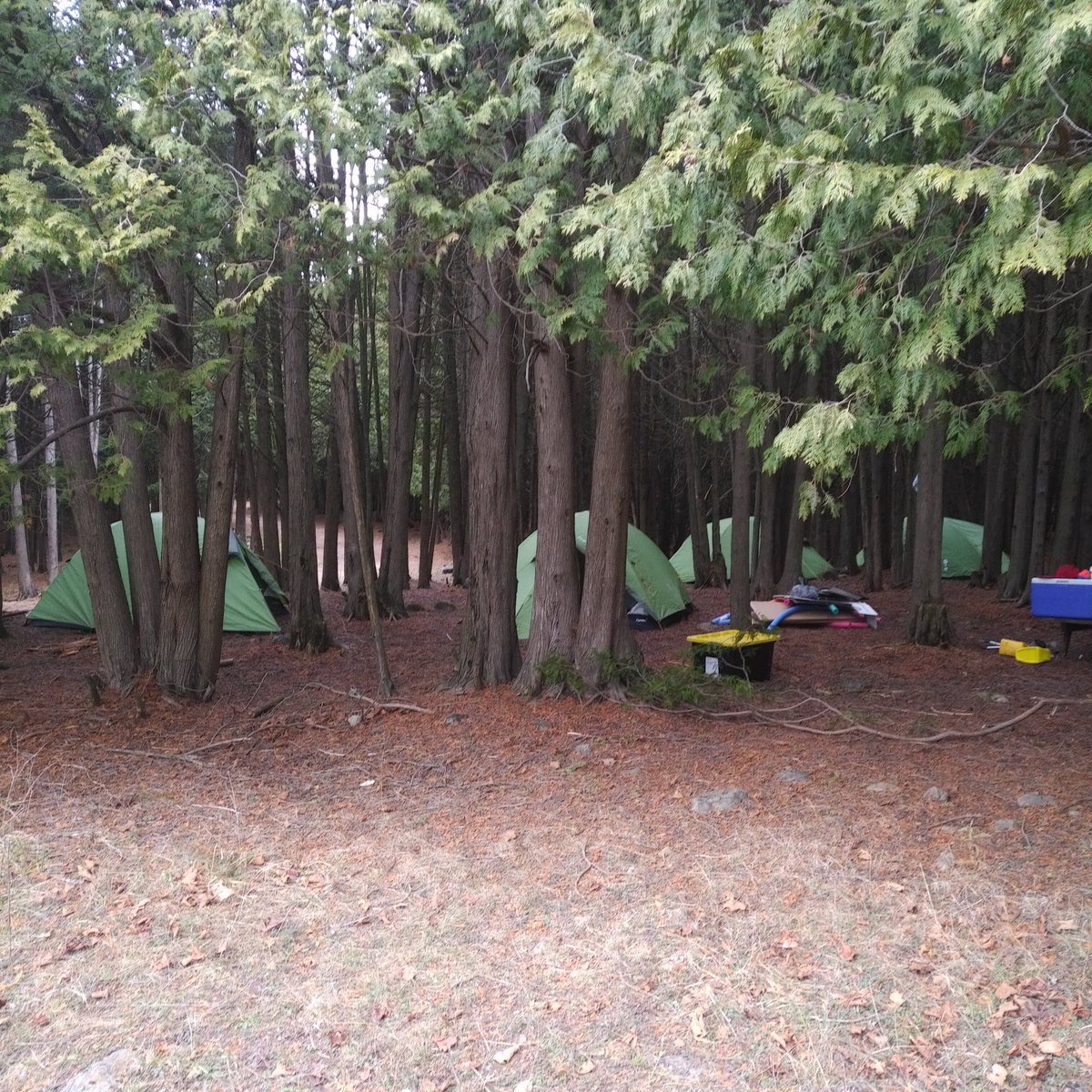ScouterAndy's tweet image. #ScoutsCanada annual meeting today... what better place to join in from than fall Troop/Company camp.