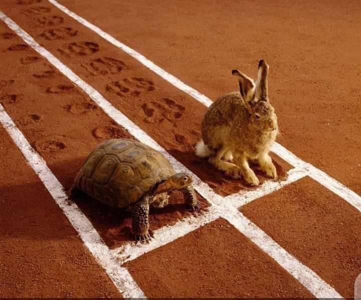 sibisibi tweet media